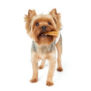 Dental Dog Chews