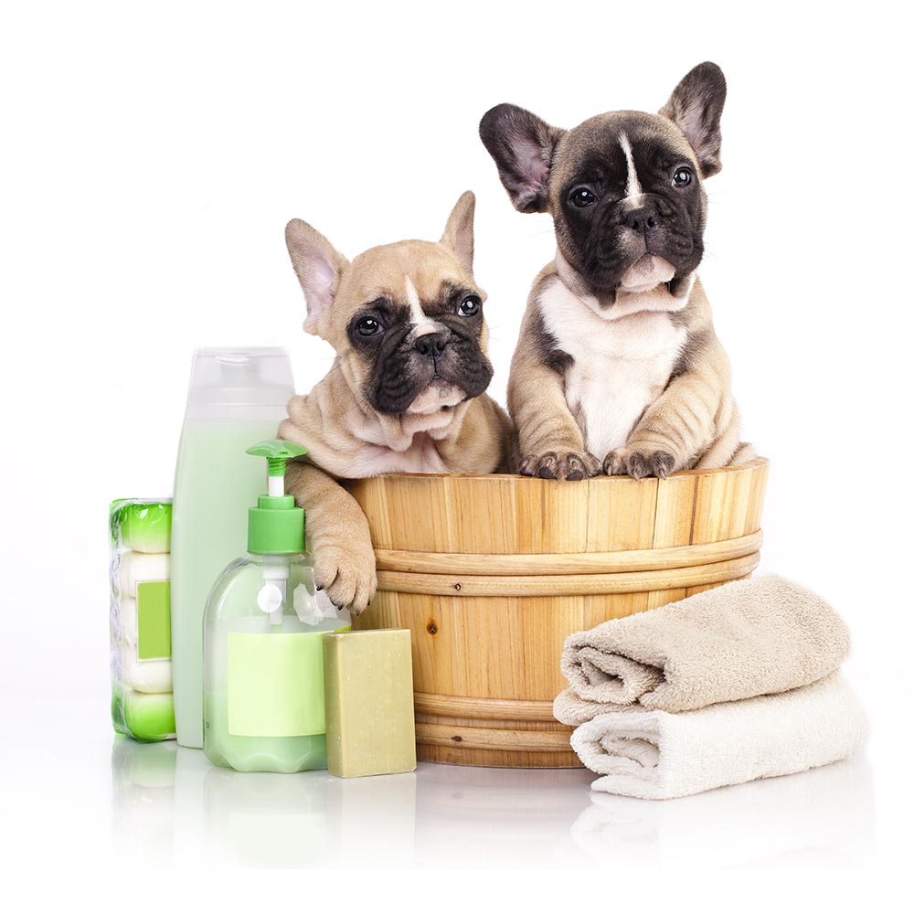 Dog-Grooming-Gift-Sets