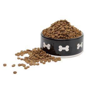 Natural Dry Dog Food