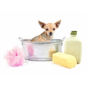 Natural Dog Shampoos & Conditioners