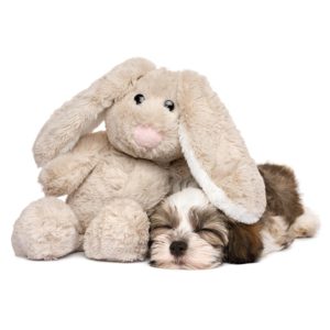 Soft & Plush Dog Toys