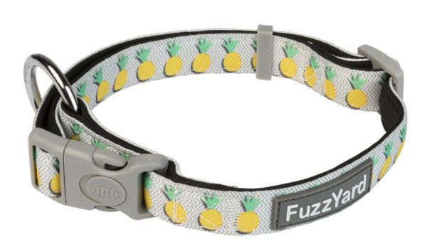 FuzzYard Collar Pina Colada