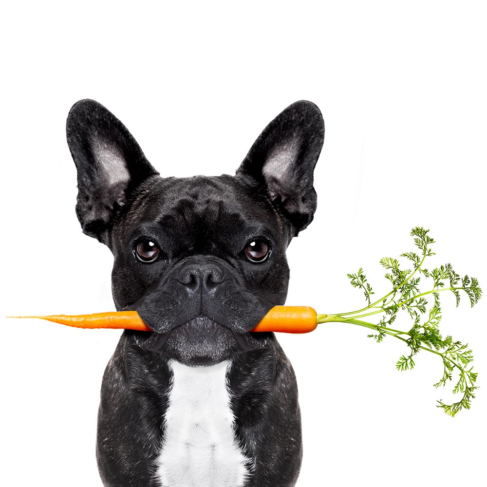 veg-based-dog-treats