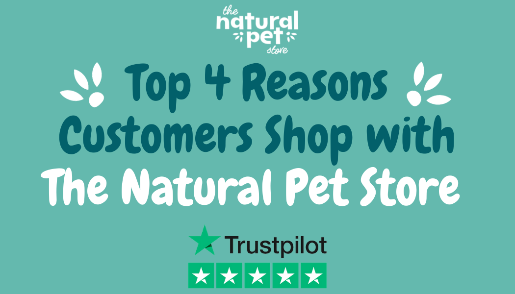 Top 4 Reasons Customers Shop with The Natural Pet Store The Natural