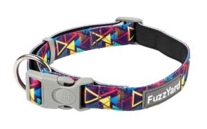 FZCL213 5 Collar Prism 2000x