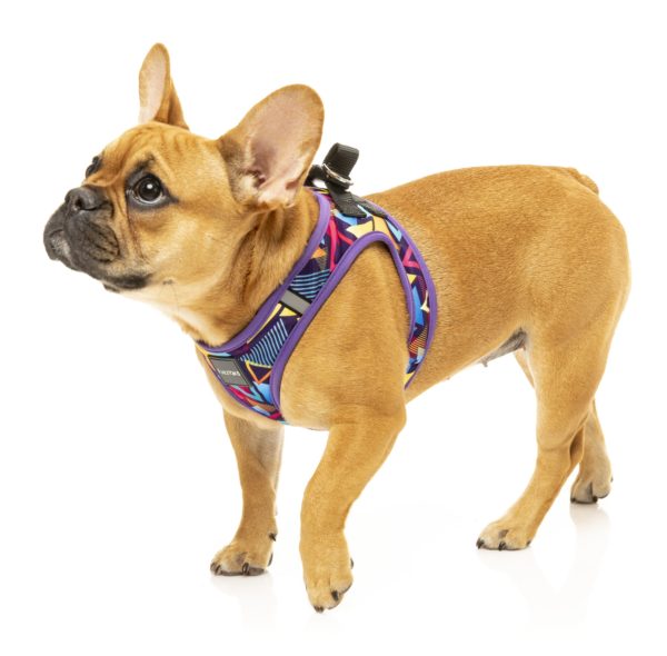 FZHS291 6 StepInHarness Prism Dog04 2000x